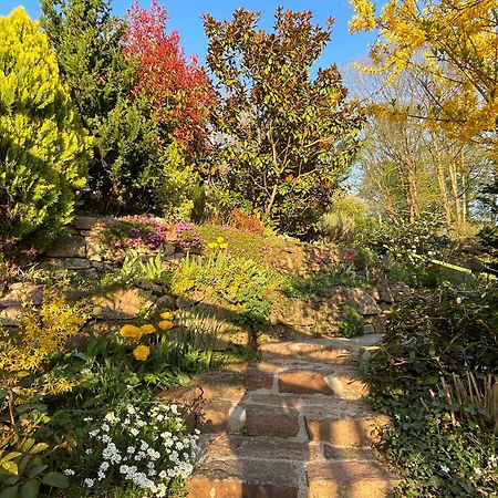 Am Berggarten Heidelberg Zewnętrze zdjęcie
