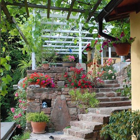 Am Berggarten Heidelberg Zewnętrze zdjęcie