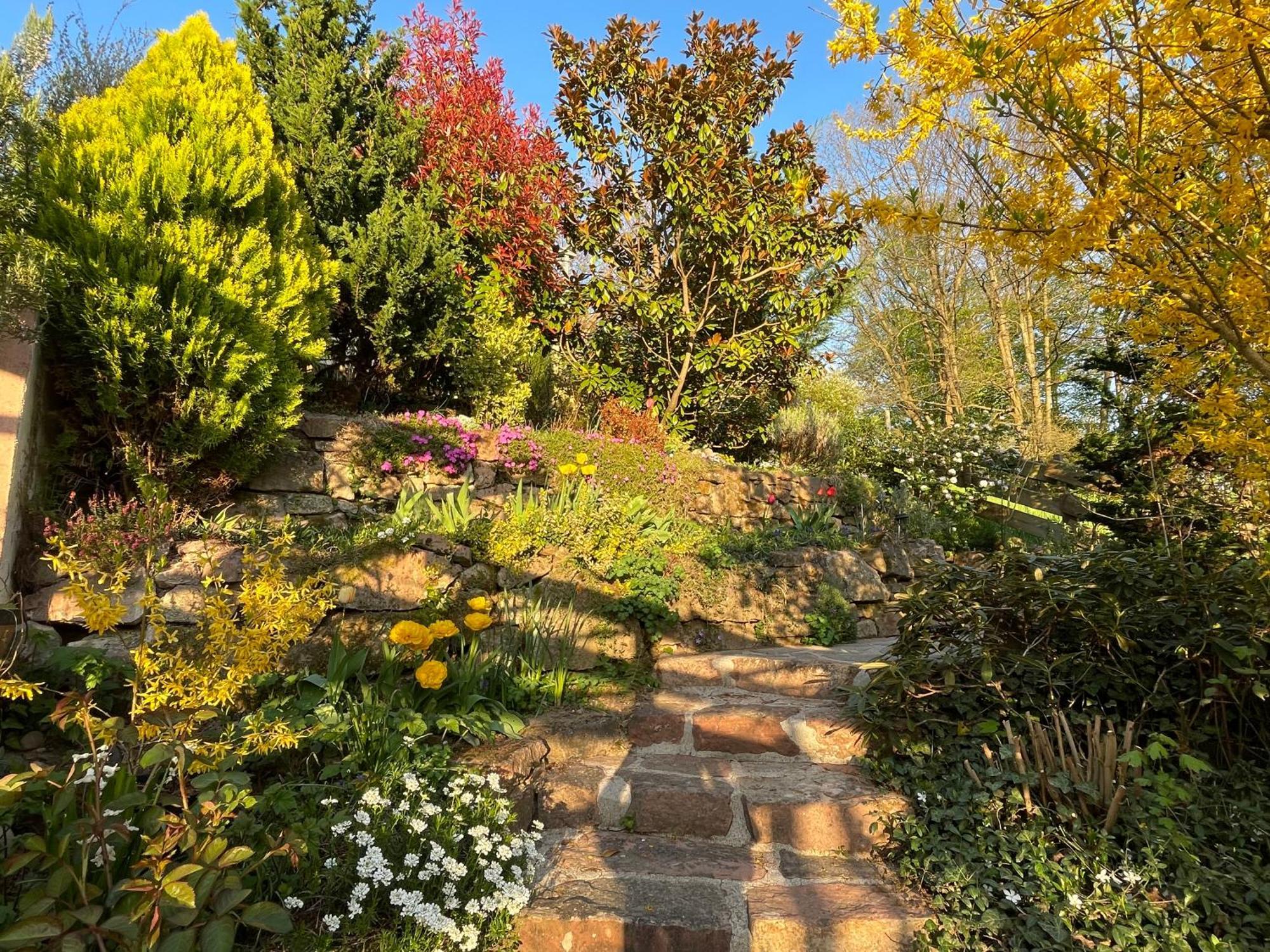 Am Berggarten Heidelberg Zewnętrze zdjęcie