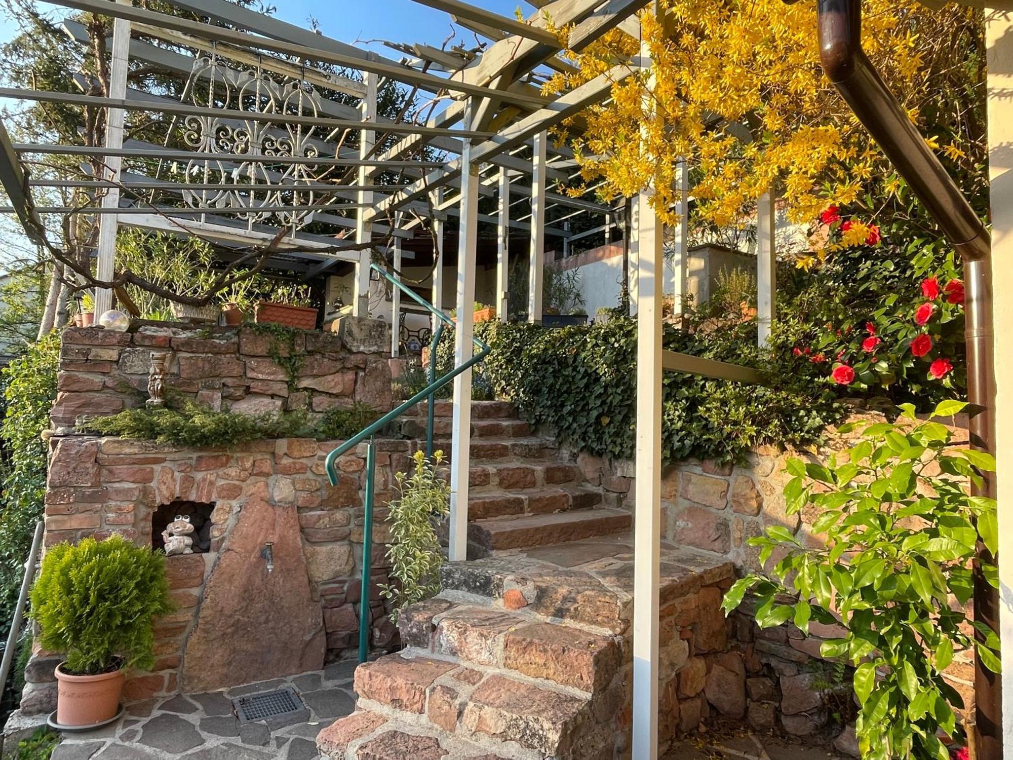 Am Berggarten Heidelberg Zewnętrze zdjęcie