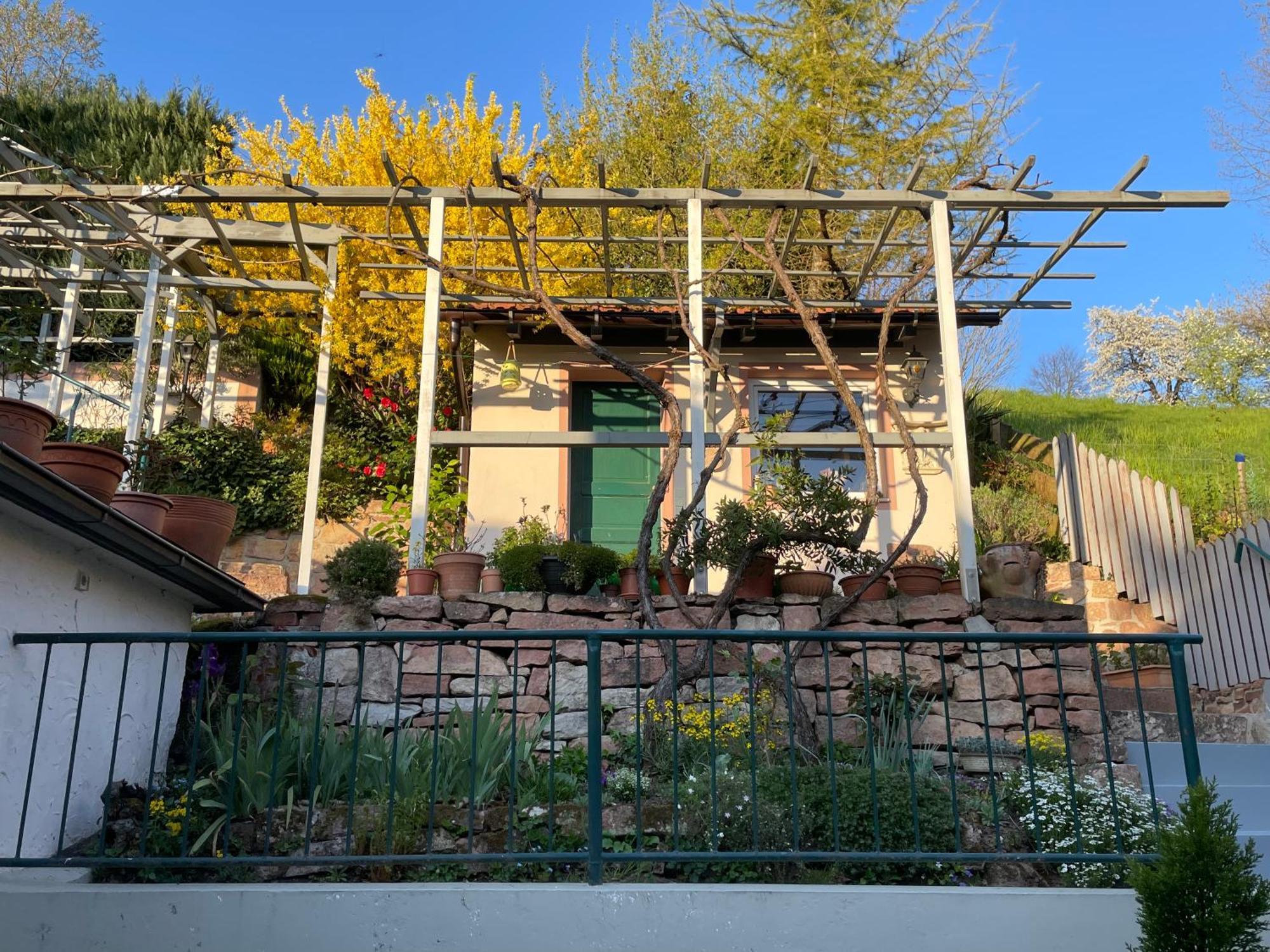 Am Berggarten Heidelberg Zewnętrze zdjęcie