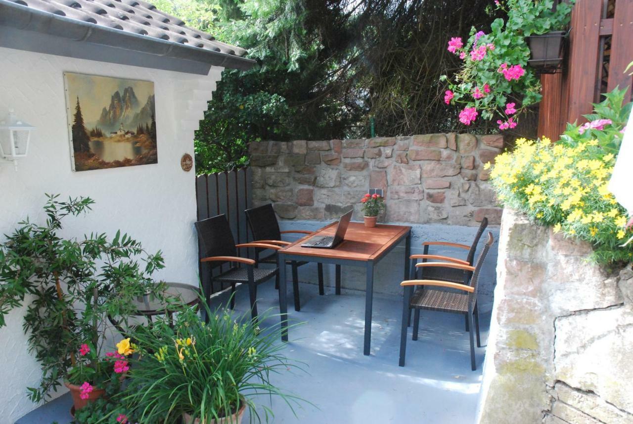 Am Berggarten Heidelberg Zewnętrze zdjęcie