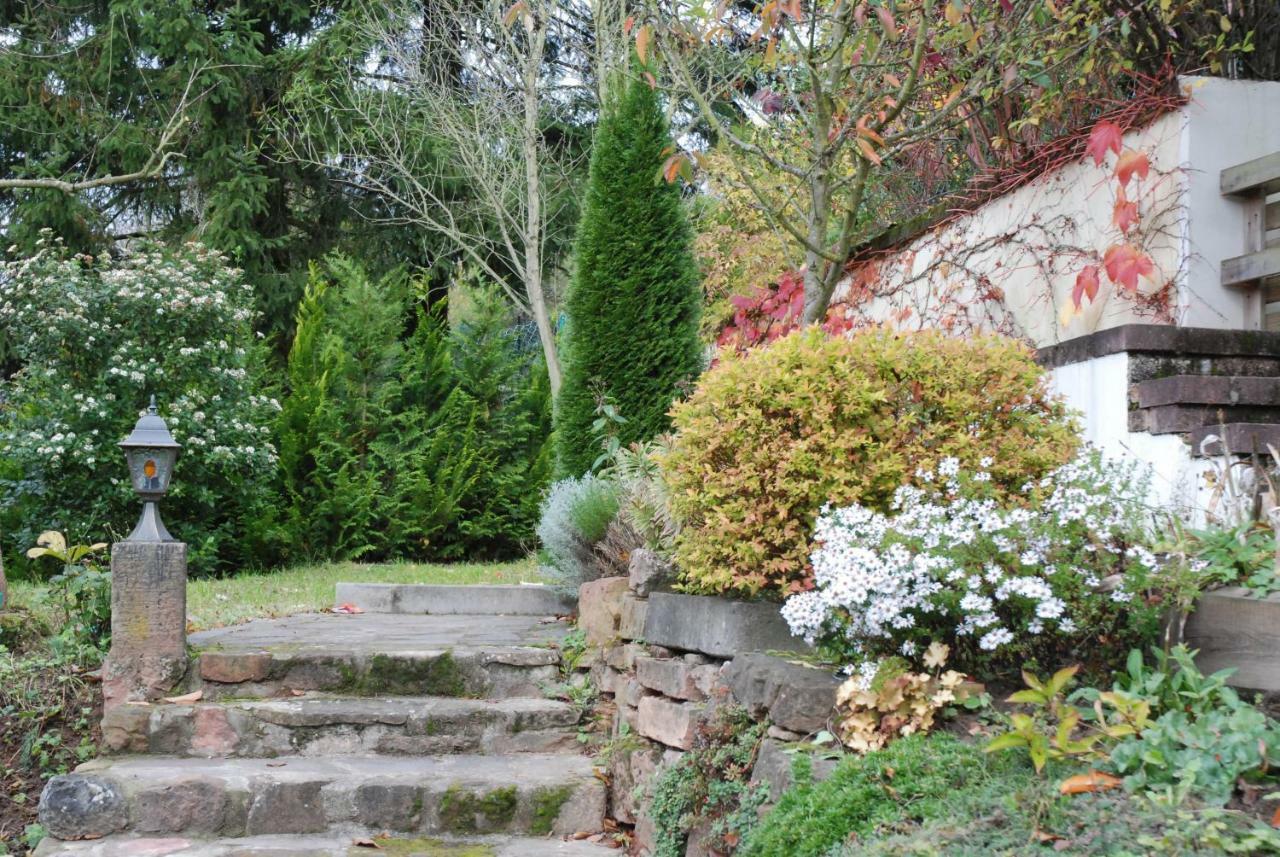 Am Berggarten Heidelberg Zewnętrze zdjęcie