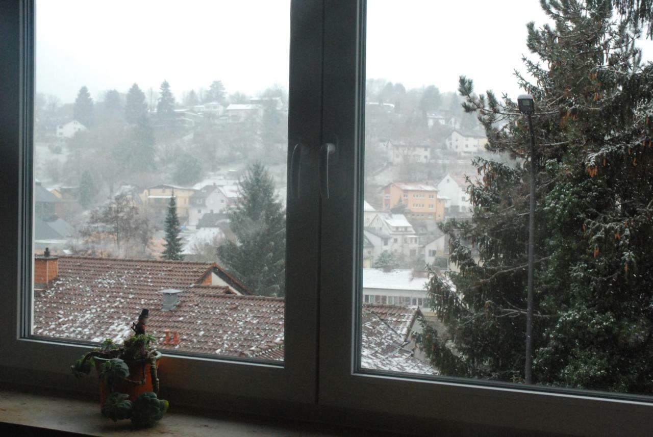 Am Berggarten Heidelberg Zewnętrze zdjęcie