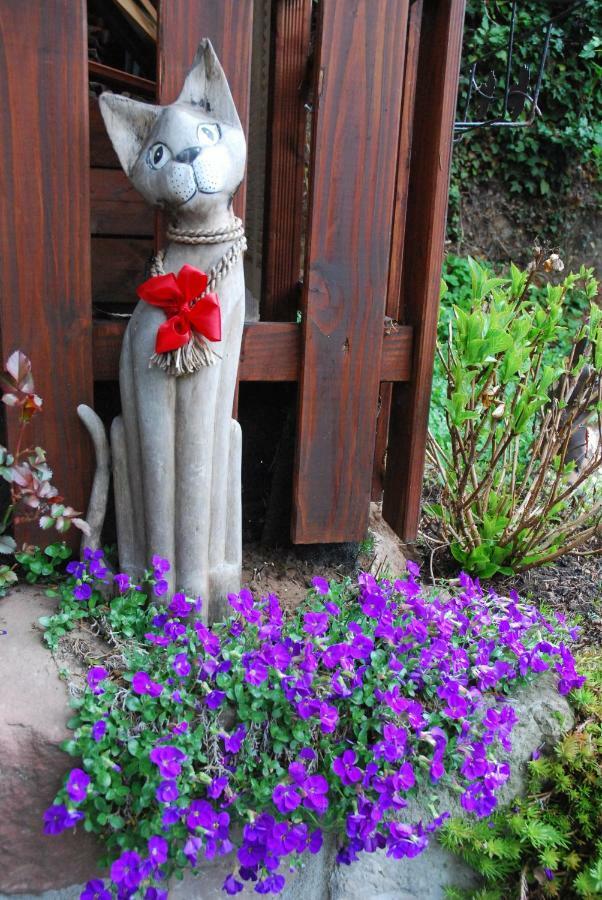 Am Berggarten Heidelberg Zewnętrze zdjęcie